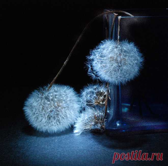 НОЧНОЙ ДОЗОР