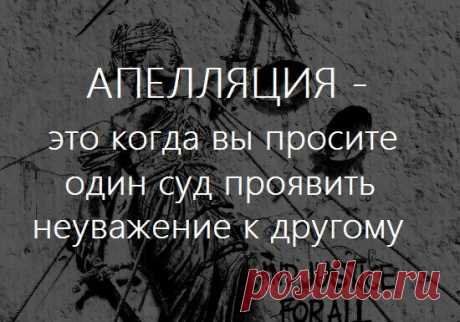Апелляционная жалоба на приговор: дело о взятке