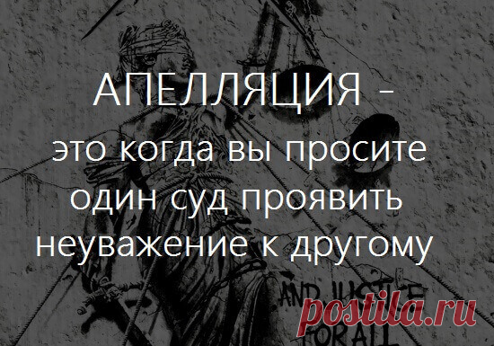 Апелляционная жалоба на приговор: дело о взятке