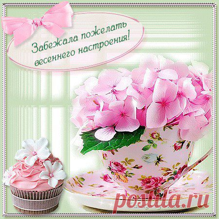Заглянула к вам на минутку, так как ограничена во времени. Я участвую в интересном интернет – проекте. Решила пригласить вас, потому что уверена в том, что вы активны, всегда в движении и стараетесь взять от жизни все, и поэтому  хотела бы пригласить вас в интернет проект. У вас есть немного времени? Могу рассказать
