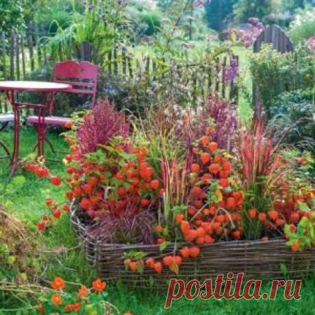 Бордюры для цветов