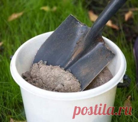 Зола от болезней и вредителей