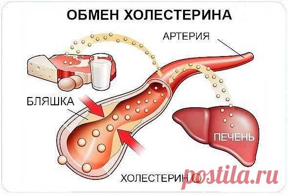(56) Одноклассники