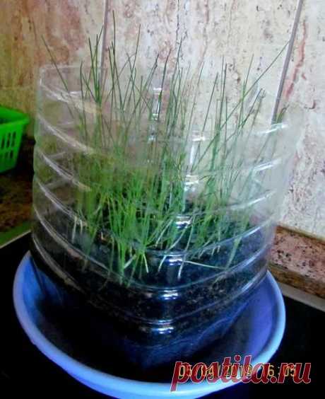 Яндекс.Картинки: поиск похожих изображений