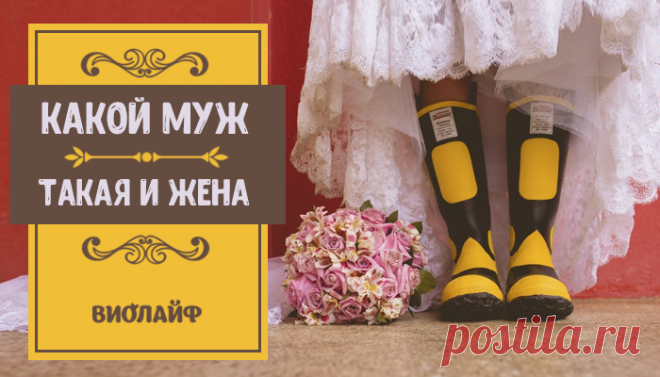 Какой муж — такая и жена
Содержание Начнем с негативного влияния жены Но есть и обратная сторона! Вместо...
Читай дальше на сайте. Жми подробнее ➡