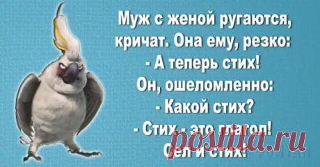 (30) 20 ярких женских шуток, которые поднимут настроение на весь день - ЭпиЦентр позитива - 7 декабря - 43635625431 - Медиаплатформа МирТесен