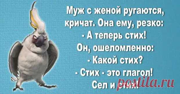 (30) 20 ярких женских шуток, которые поднимут настроение на весь день - ЭпиЦентр позитива - 7 декабря - 43635625431 - Медиаплатформа МирТесен