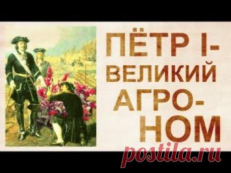 Амарант – пища богов. И что еще запретил Петр-1 на Руси