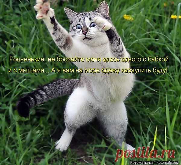 Интересные новости