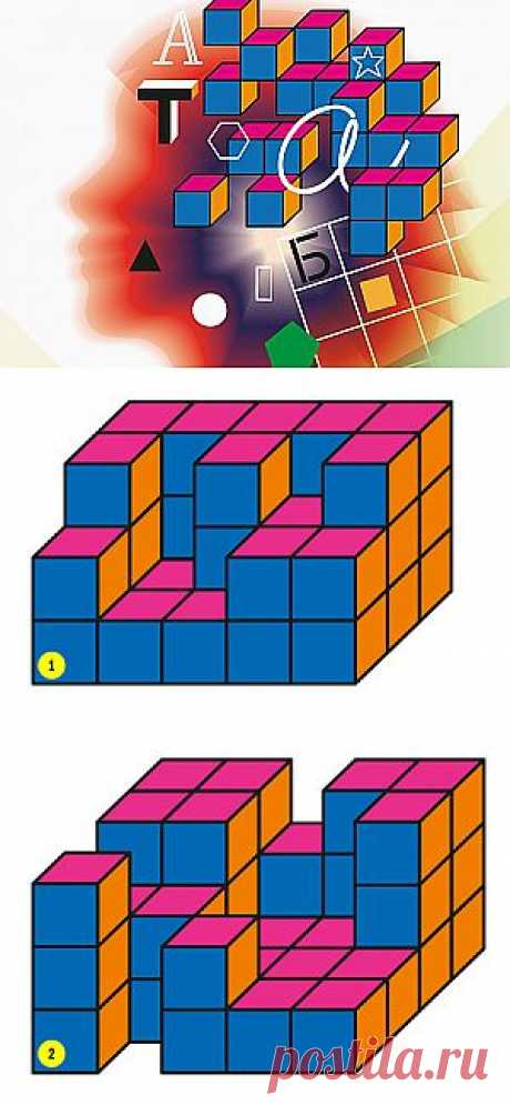 Упражнения для тренировки памяти и внимания | Glamour.ru