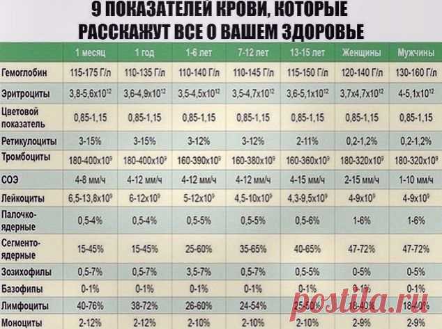 ПОКАЗАТЕЛИ КРОВИ