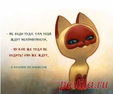 Интересные новости
