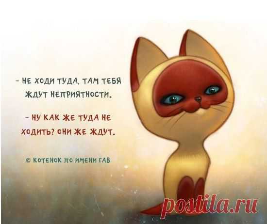 Интересные новости