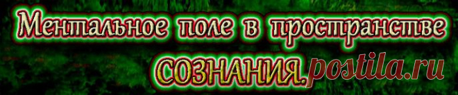 Ментальное поле в пространстве сознания. Каждое индивидуальное ментальное поле окружено пространством, которое было организованно природой и в своей структуре является носителем ее законов.