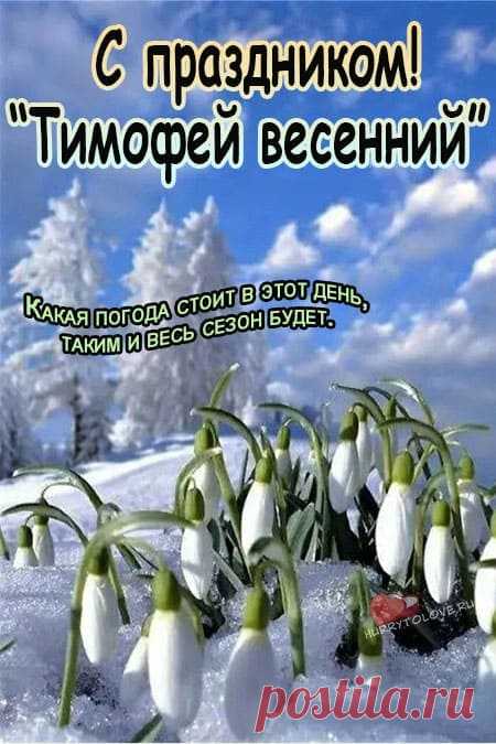 Тимофей Весновей! Здоровья и любви!