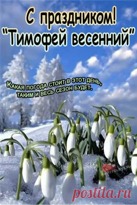 Тимофей Весновей! Здоровья и любви!