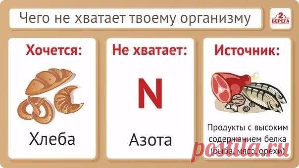 ЧЕГО НЕ ХВАТАЕТ ВАШЕМУ ОРГАНИЗМУ?