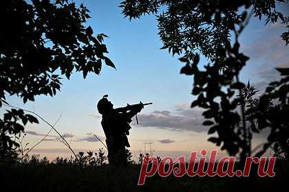 Раскрыты потери ВСУ за неделю боев у границ Курской области