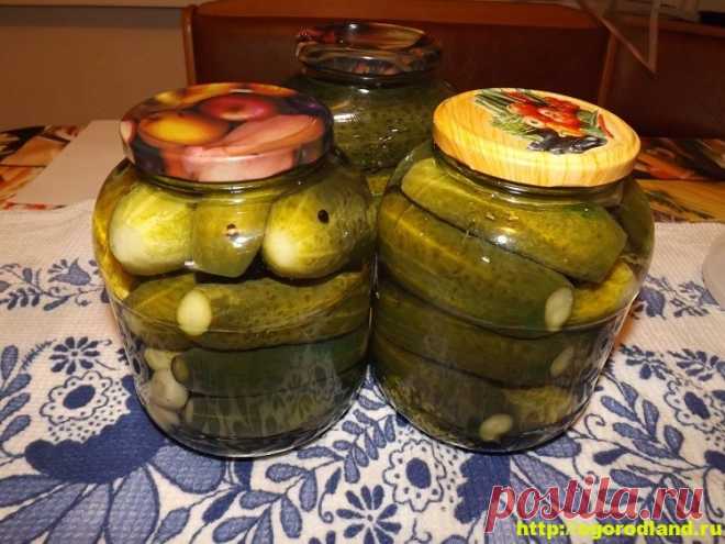 Маринованные огурцы. Простой и вкусный рецепт по шагам   Маринованные огурцы – одни из популярнейших заготовок на зиму. Рецептов маринования