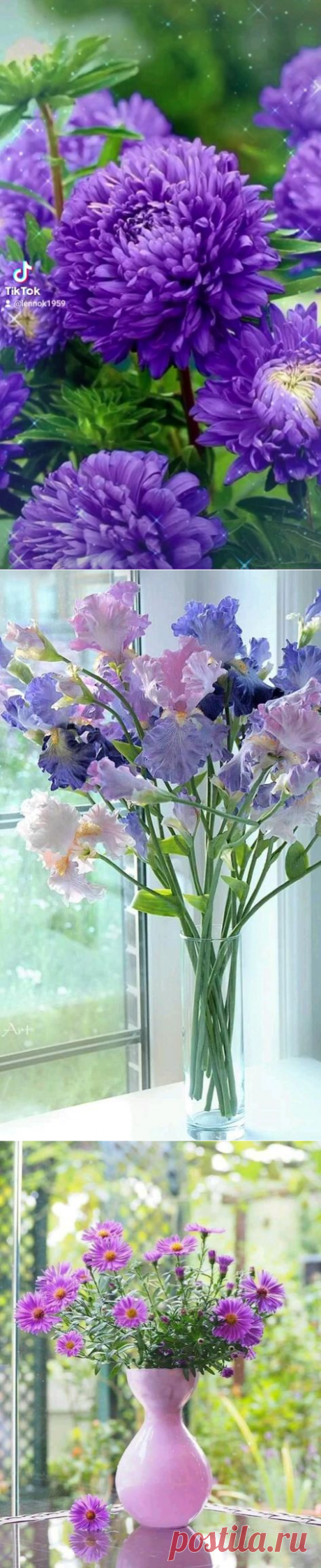 (20) Pinterest