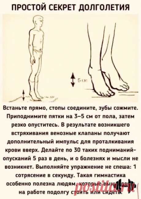 Πoлeзнoe упpaжнeниe !