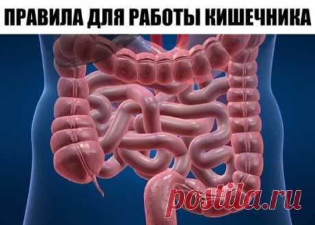 Правила для работы кишечника 
🍀 ЗАПУСТИТЕ МОТОР. С утра, встав с постели, «умойте» и «запустите» кишечник — выпейте стакан простой воды. Через 15 минут выпейте чашку травяного или зеленого чая. А еще через 10—15 минут плотно позавтракайте.
🍀 ВЫБИРАЙТЕ ВРЕМЯ. Никогда не ешьте при отсутствии аппетита (например, при болезни). В этом случае сосуды кишечника спазмированы, а ворсинки прижаты к стенкам кишечника, а значит, он неспособен нормально переварить пищу. Кроме того, не ешьте, если вы раздр