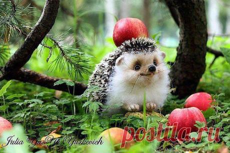 Михаил Мартынов