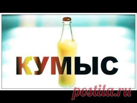Галилео. Кумыс