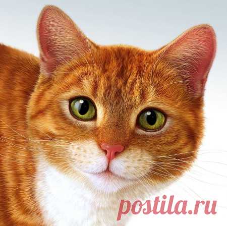 Рисованные кошки. — Виртуальное логово Мифического Чудовища! :: @дневники: асоциальная сеть