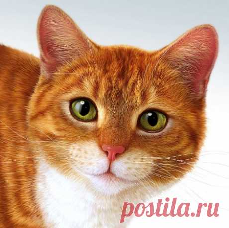Рисованные кошки. — Виртуальное логово Мифического Чудовища! :: @дневники: асоциальная сеть