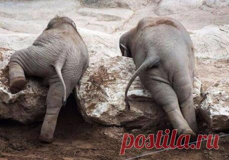 Лучшие фото