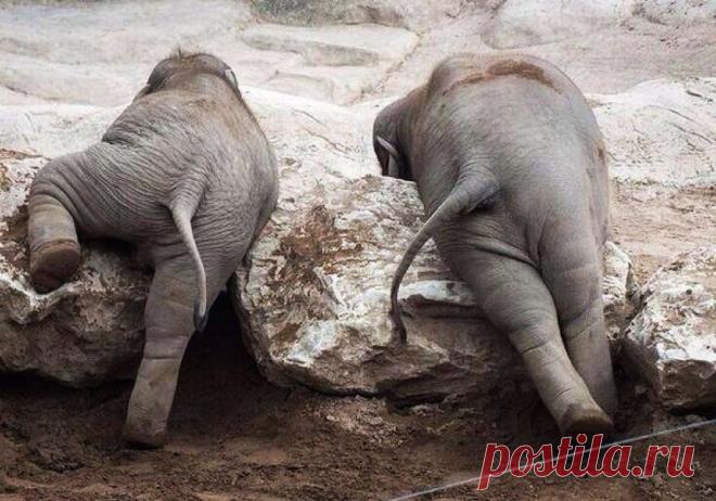 Лучшие фото