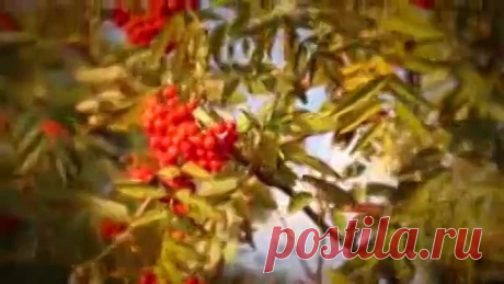 'Галина' Поёт Валерий Сёмин