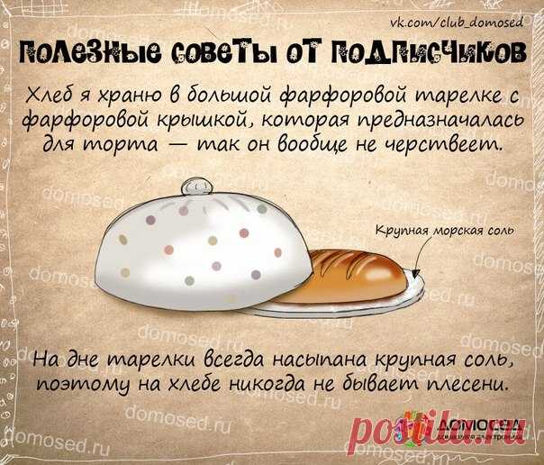 Очень полезные советы — Всегда в форме!