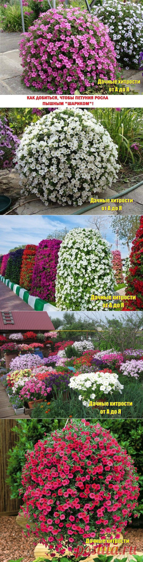 (89) Одноклассники