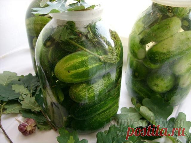 Соленые огурцы, как из бочки. Рецепт с пошаговыми фото