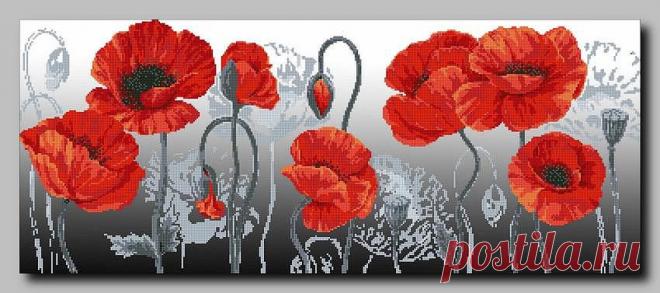 (3) Одноклассники