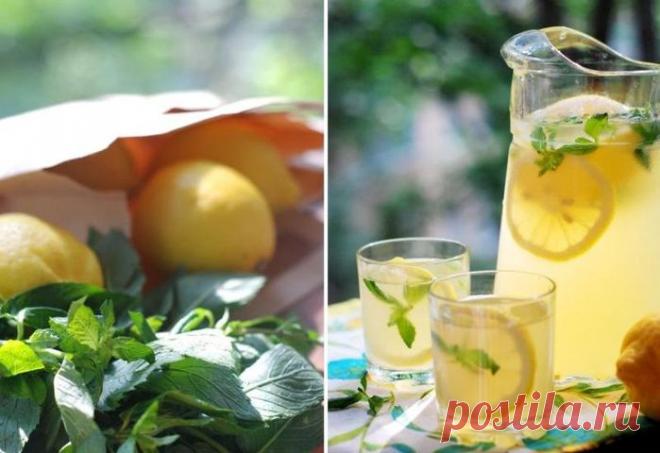 Рецепт как сделать домашний лимонад.