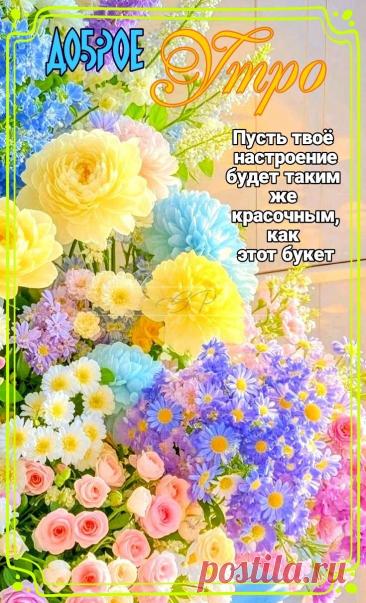 С добрым утром Привет Здрасте Добрый день