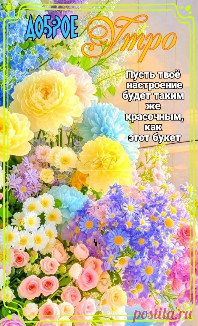 С добрым утром Привет Здрасте Добрый день