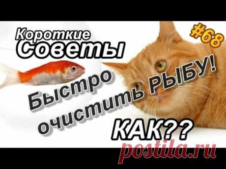Как очень легко почистить рыбу? | Полезные советы!