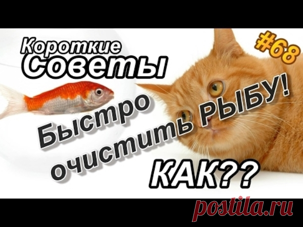 Как очень легко почистить рыбу? | Полезные советы!