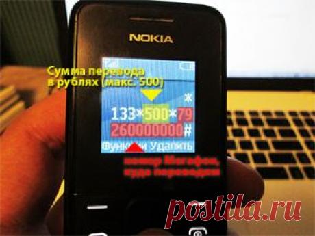 Как перевести деньги с Мегафона на Мегафон? 4 способа