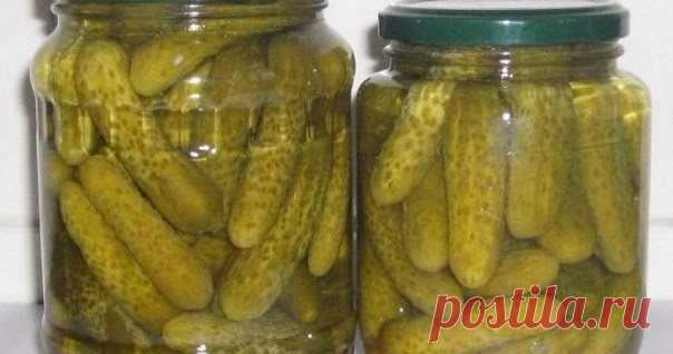 Полезные советы