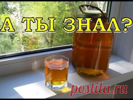 Домашнее ЯБЛОЧНОЕ ВИНО. Пошаговый рецепт👍👍👍 - YouTube