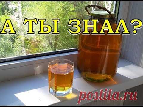 Домашнее ЯБЛОЧНОЕ ВИНО. Пошаговый рецепт👍👍👍 - YouTube