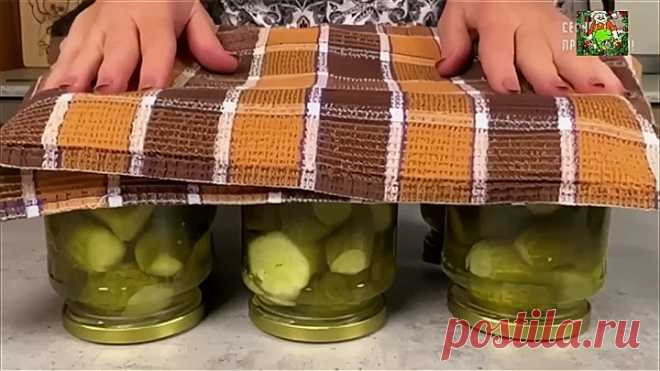 Вкуснейшие огурчики на зиму ( рецепт )