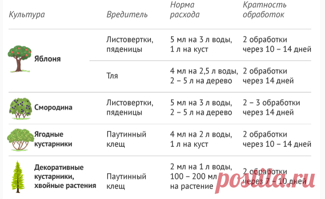 Пара-тройка капель и весь сезон нет вредителей, болезней на помидорах, перце, огурцах… | Твоя Дача | Дзен