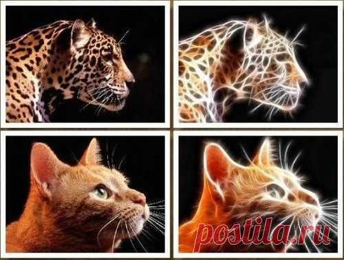 Redfield Fractalius - плагин для ФШ