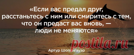 Что нужно делать если вас предали? - Мудрый и жизненный совет от Артура Шопенгауэра | Литература души | Яндекс Дзен